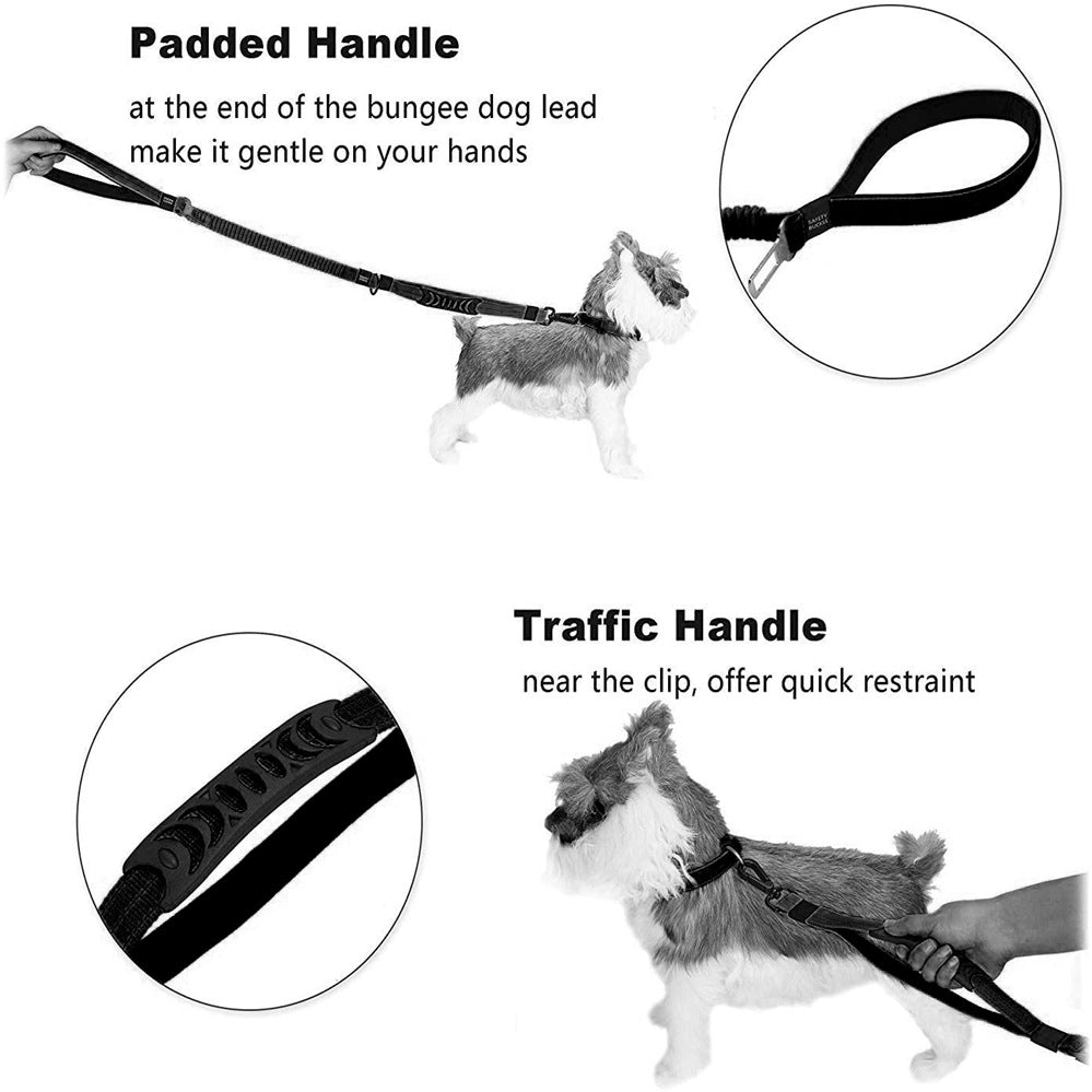Dog leash with padded handle and traffic handle features on a white background