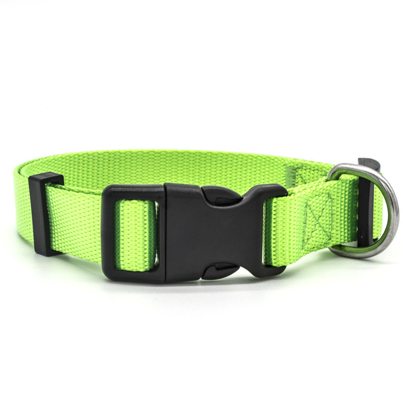 Green dog collar with a black buckle and silver ring on a white background