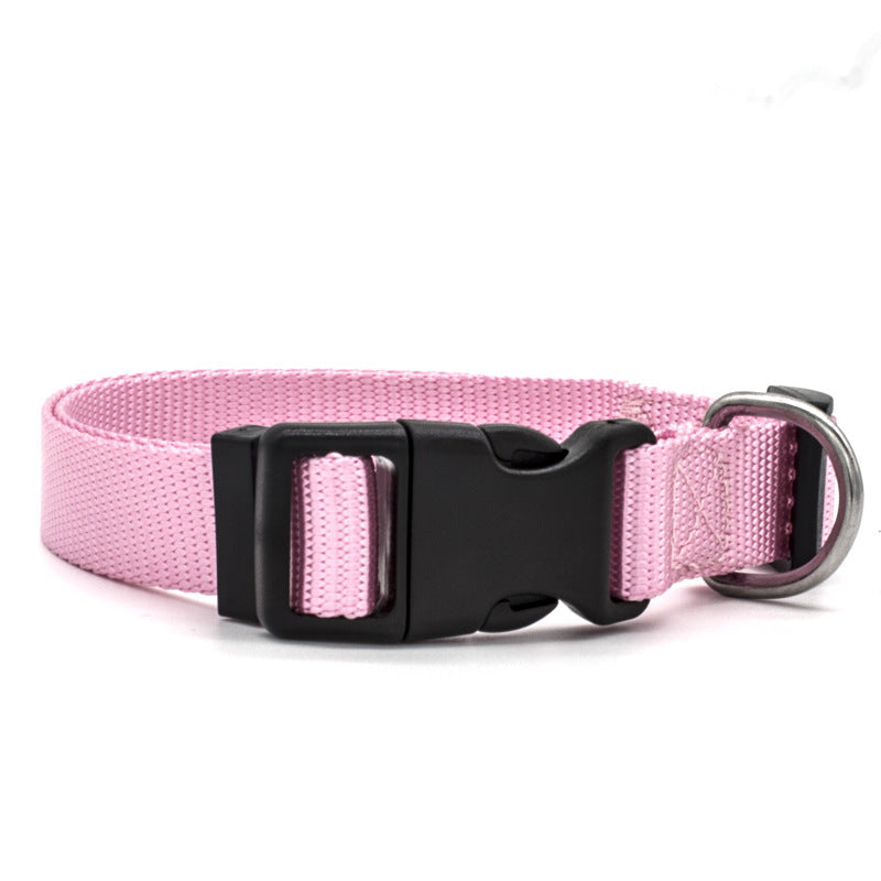 Pink dog collar with a black buckle on a white background