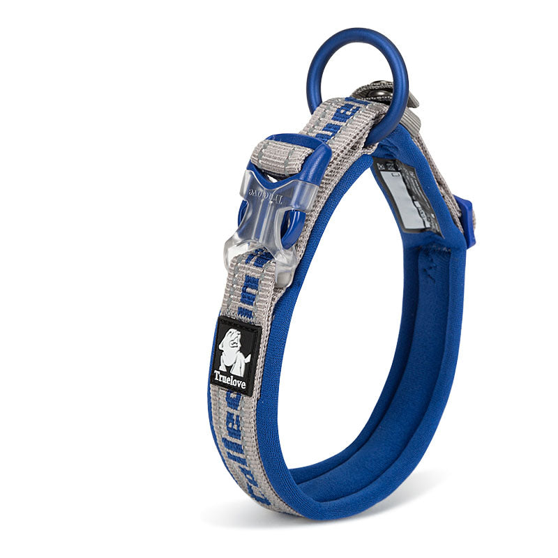 Blue and gray dog collar with a brand logo on a white background