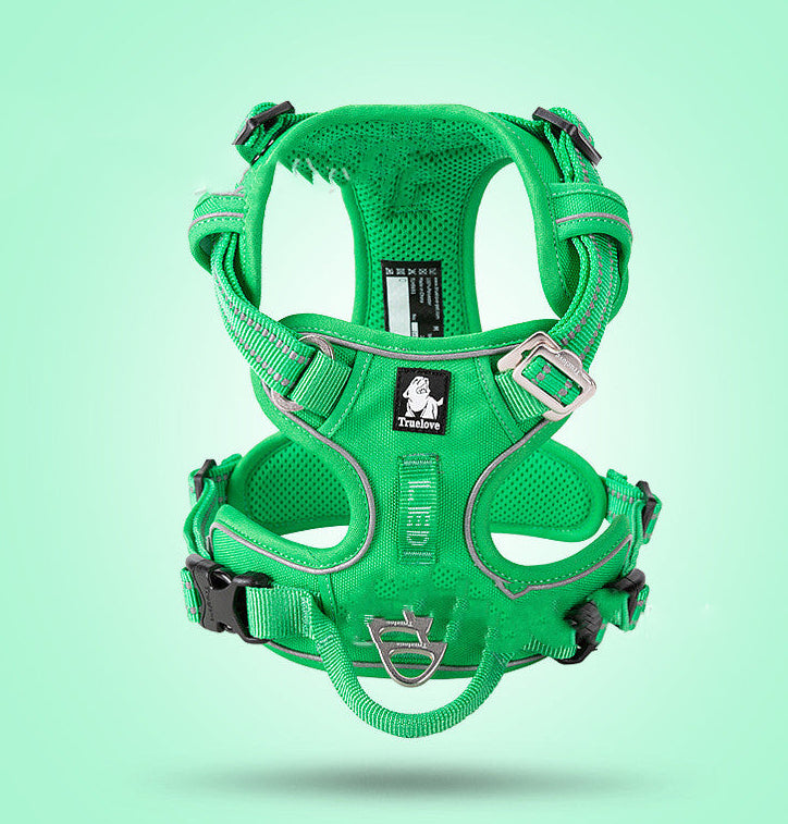 Green dog harness on a light green background
