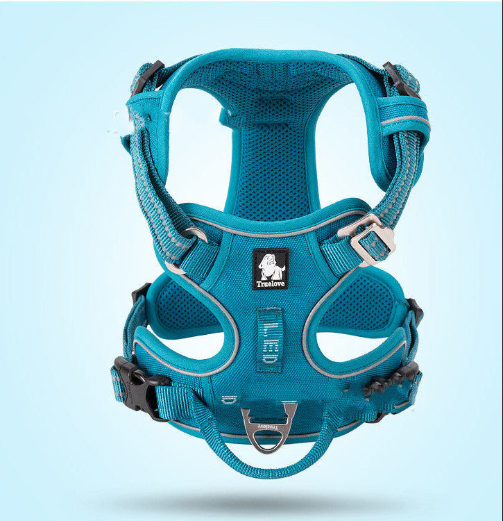 Blue dog harness on a light blue background