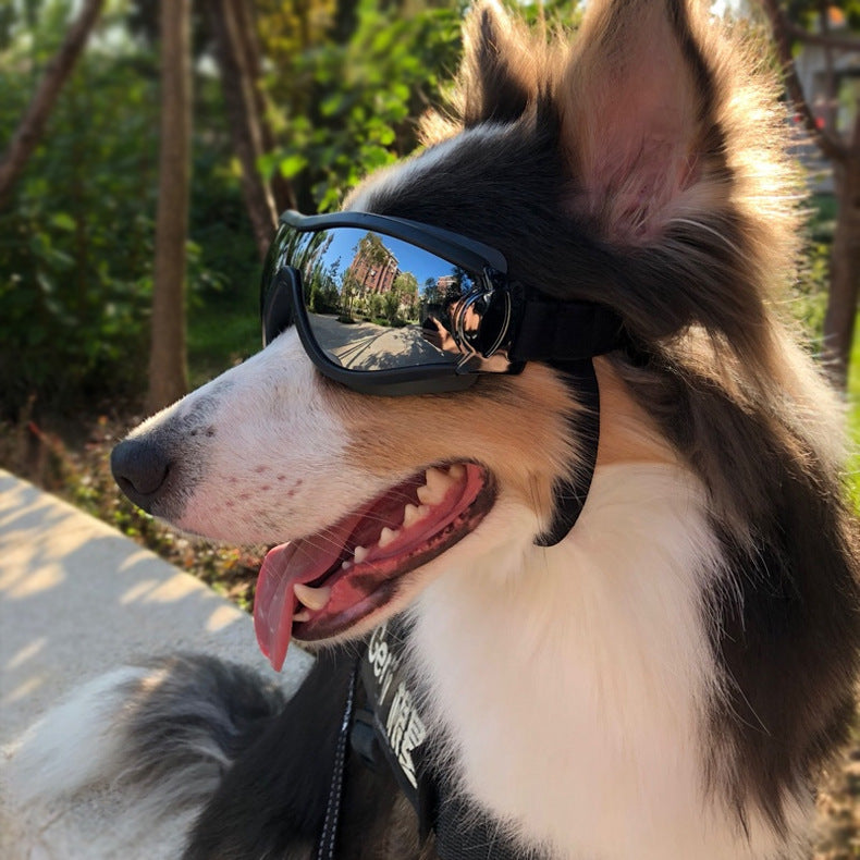Dog UV Protective doggles