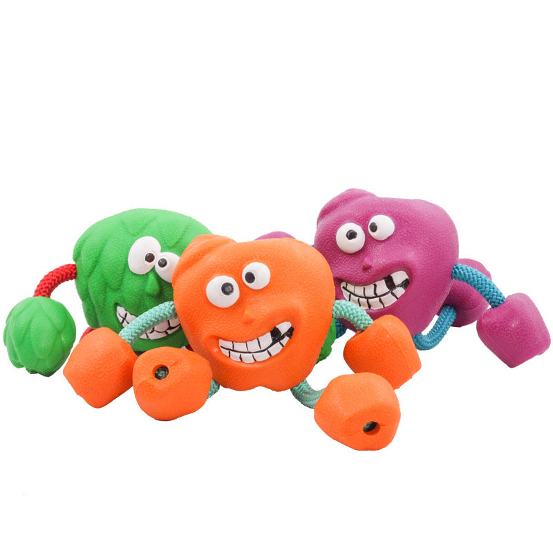 Colorfuldog toy with a smiling face on a white background