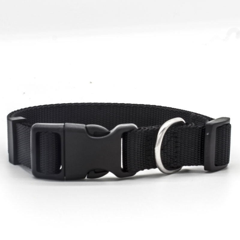 Black dog collar with a metal buckle on a white background