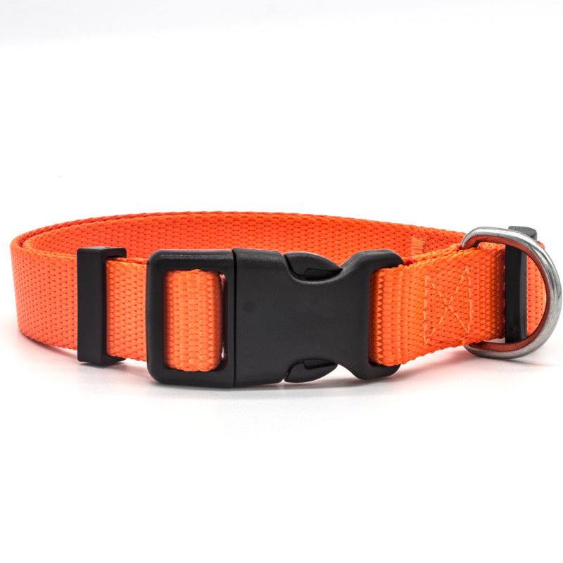 Orange dog collar with a black buckle on a white background