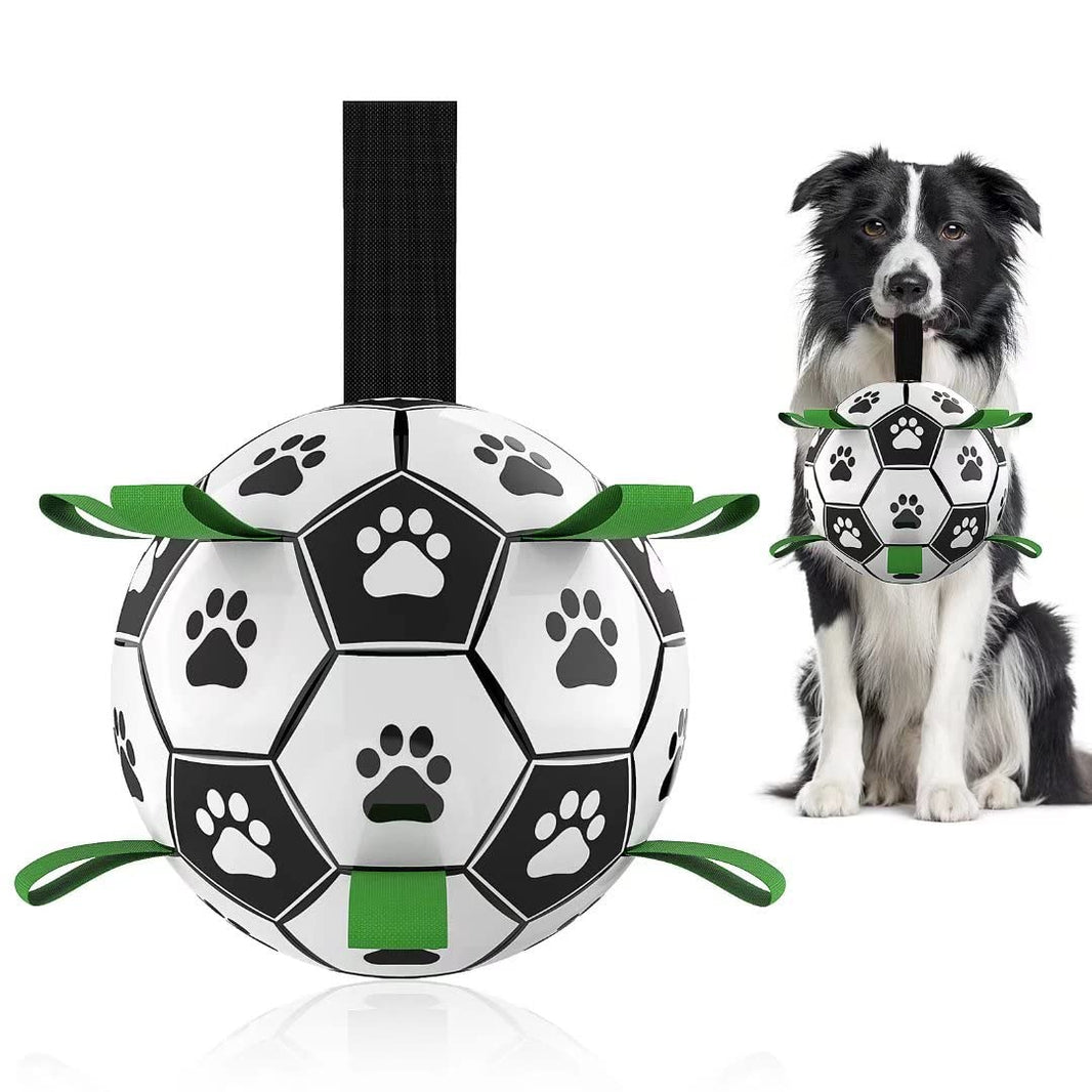 Dog toy resembling a soccer ball with paw prints and a dog wearing a matching collar.