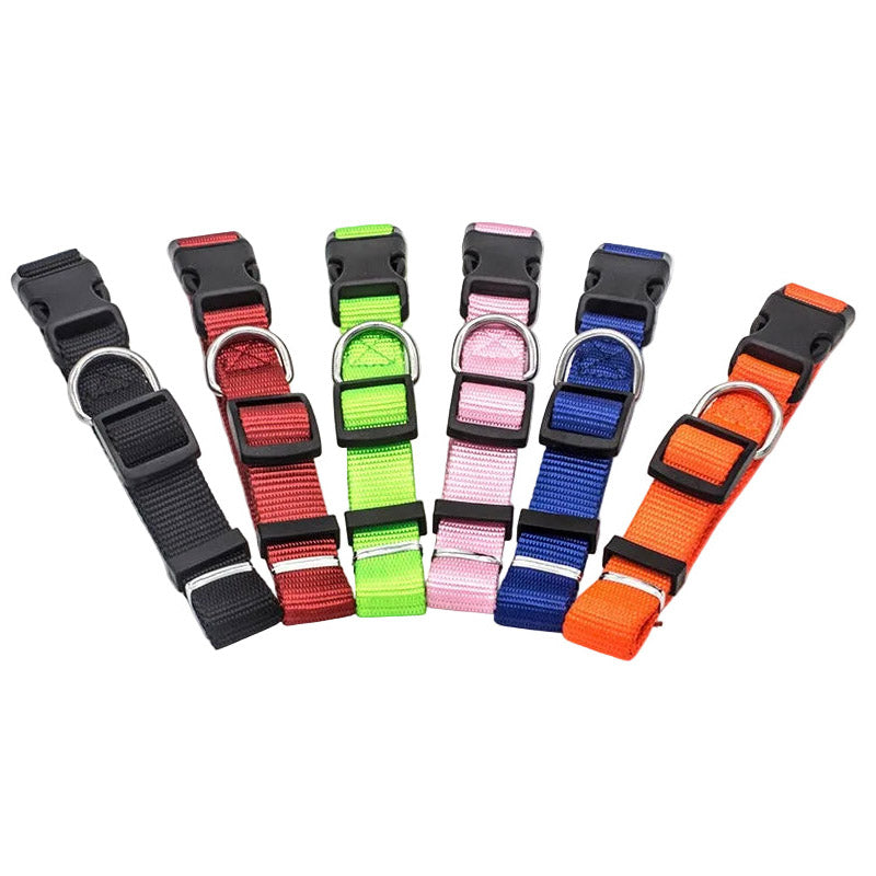 Set of colorful dog collars with black buckles on a white background