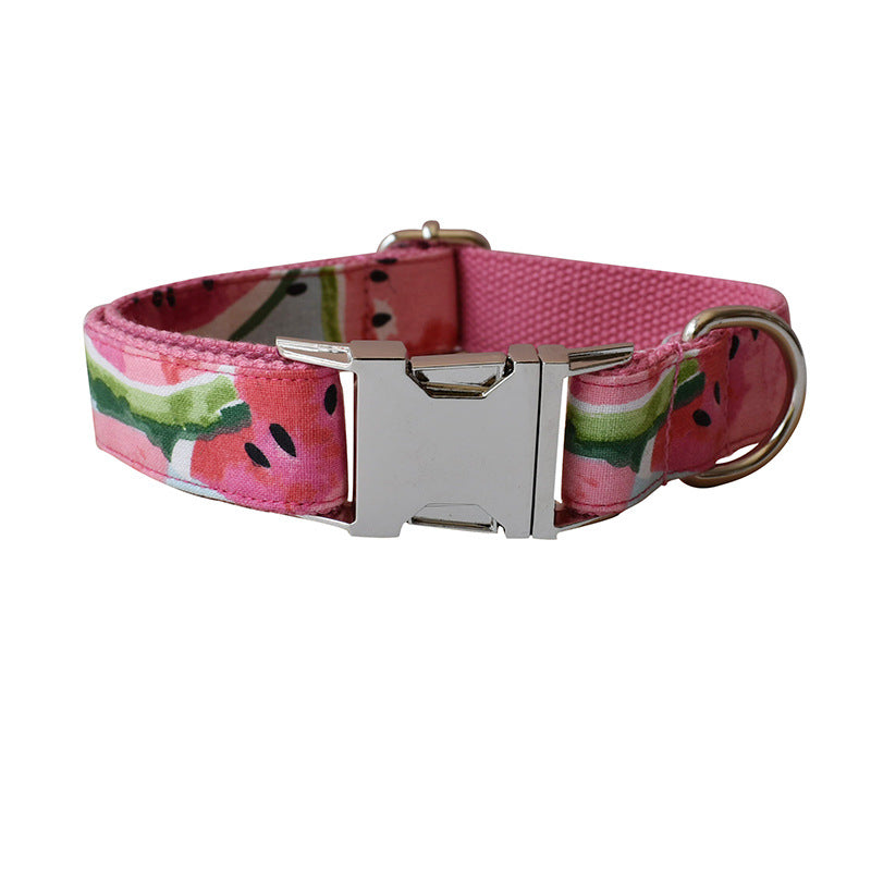 Dog collar with watermelon pattern and silver buckle on a white background