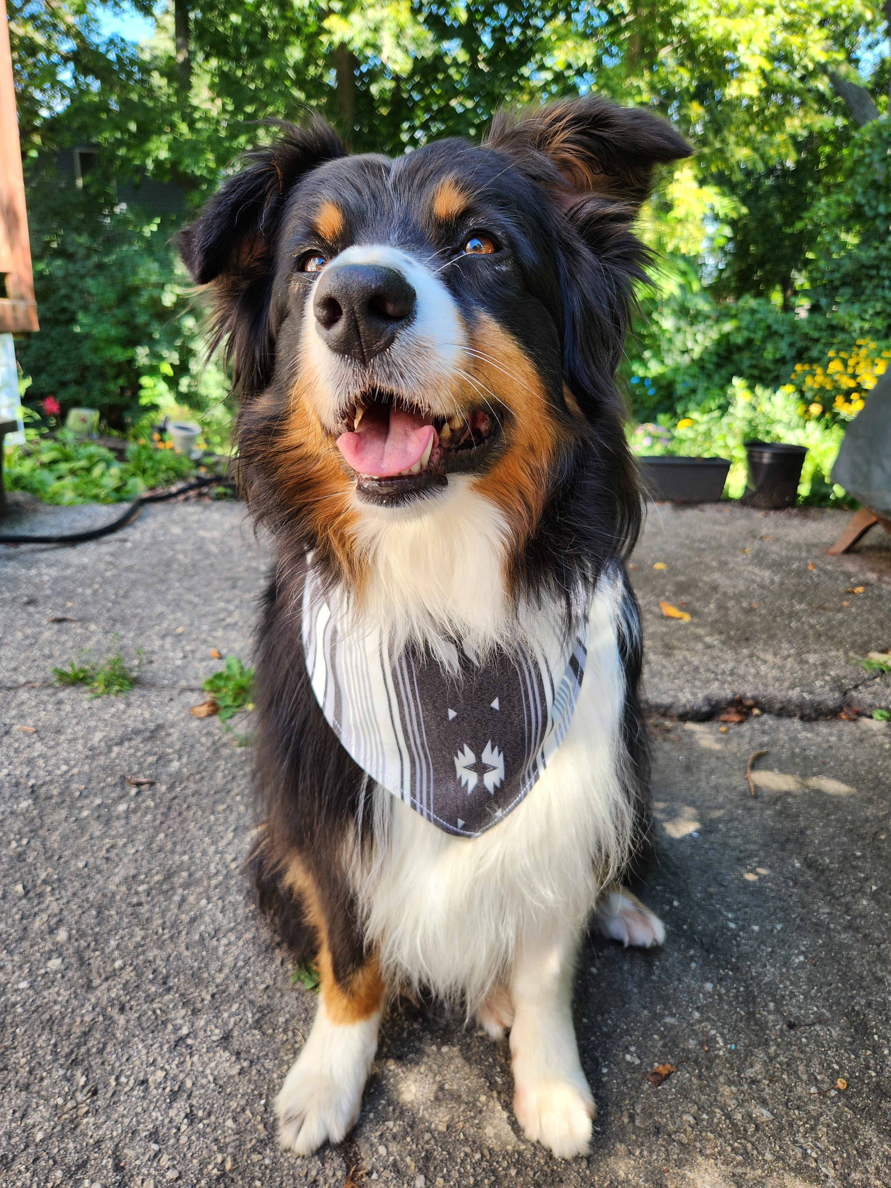 Navaro Print Colored Twill Bandana