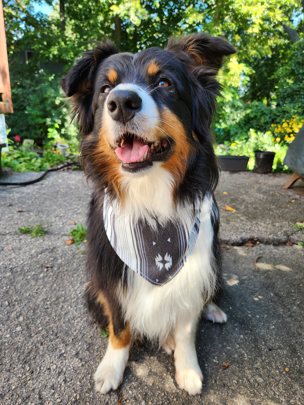 Navaro Print Colored Twill Bandana