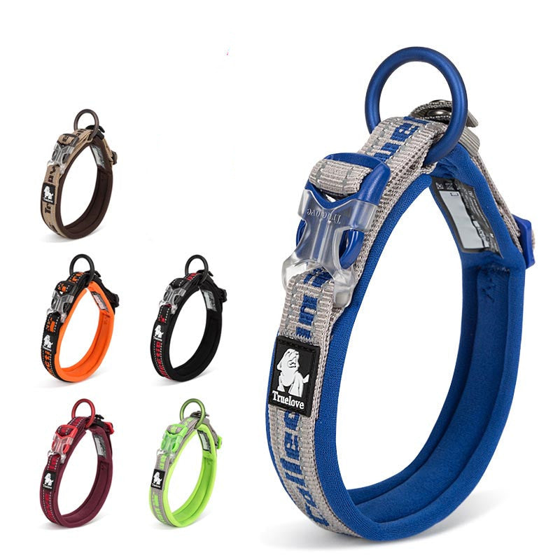 Dog collar with multiple color options on a white background