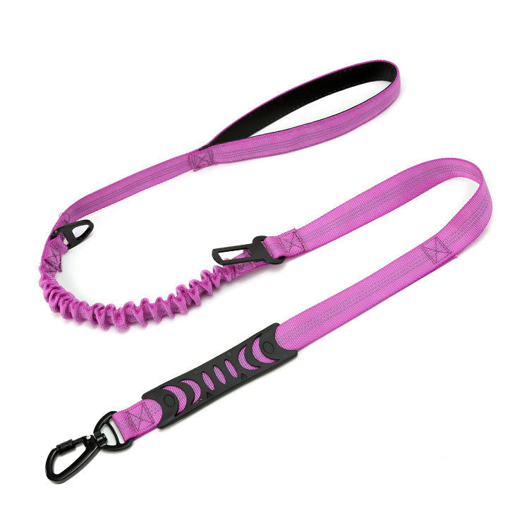 violet dog leash and safety belt