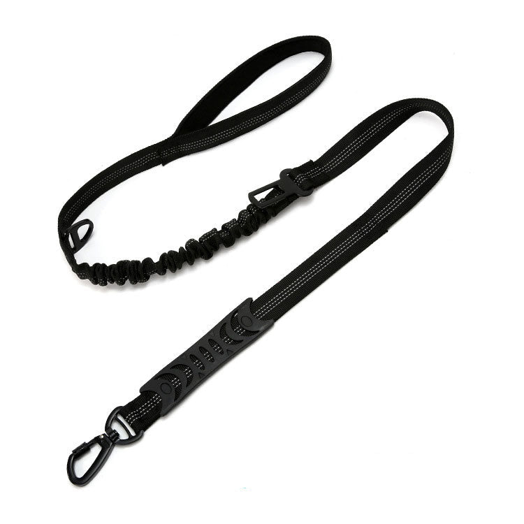 black dog leash and safety belt