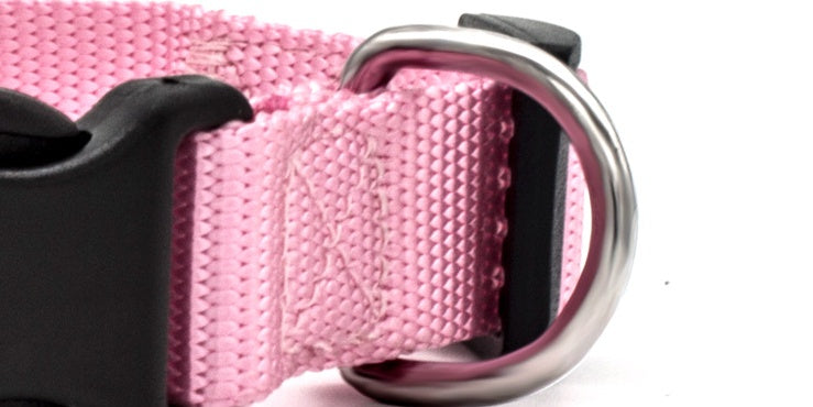 Close-up of a pink dog collar with a metal buckle on a white background