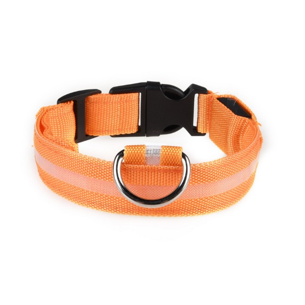 LED Light-Up Dog Collar