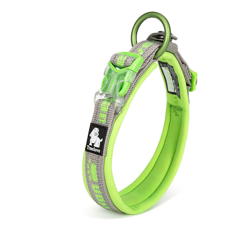 Green and gray dog collar with reflective strip on a white background