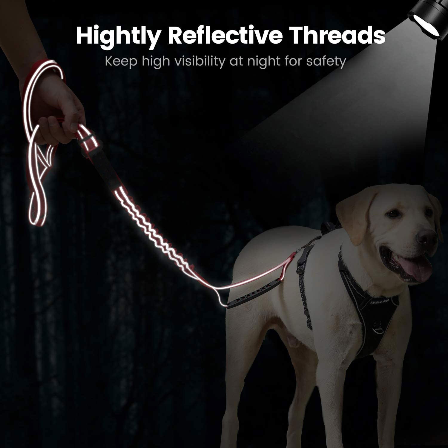 Dog on a leash with reflective threads in the dark, highlighting safety feature.