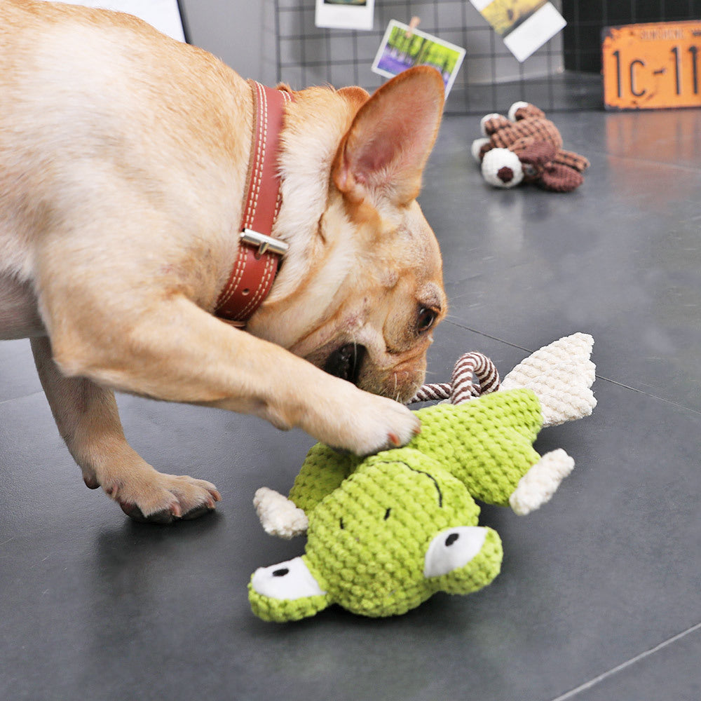 Dog playing with a green frog toy 