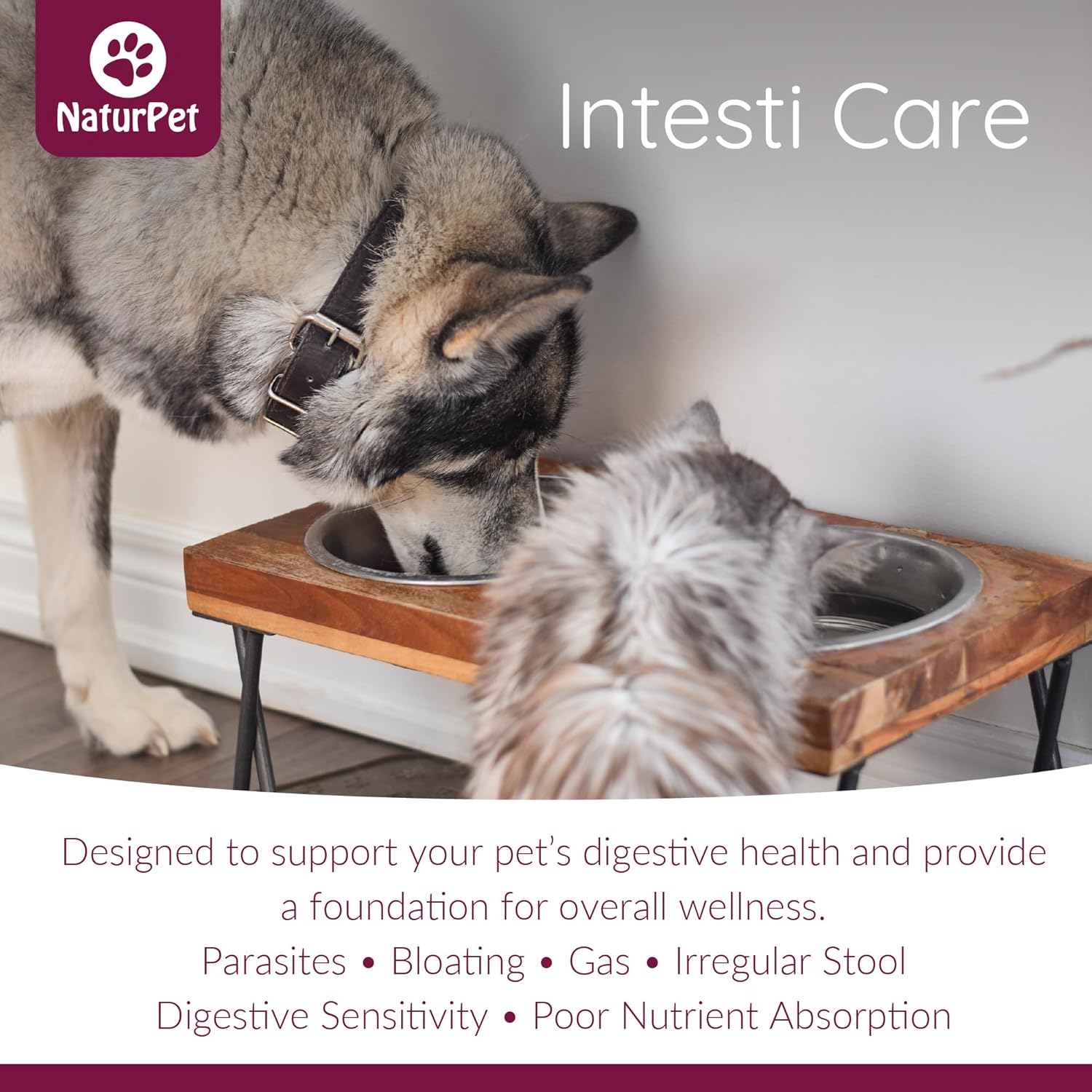 Two pets drinking from a bowl on a wooden stand with NaturPet Intesti Care branding.