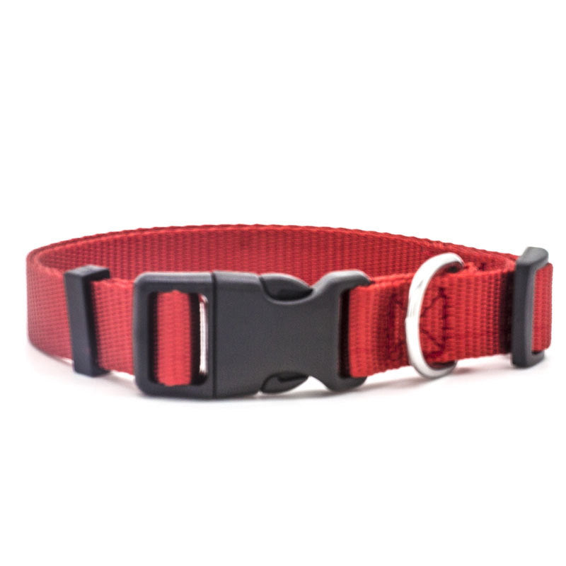Red dog collar with a black buckle on a white background