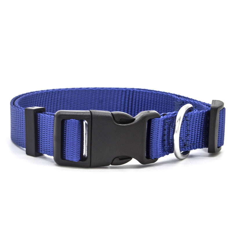 Blue dog collar with a black buckle on a white background