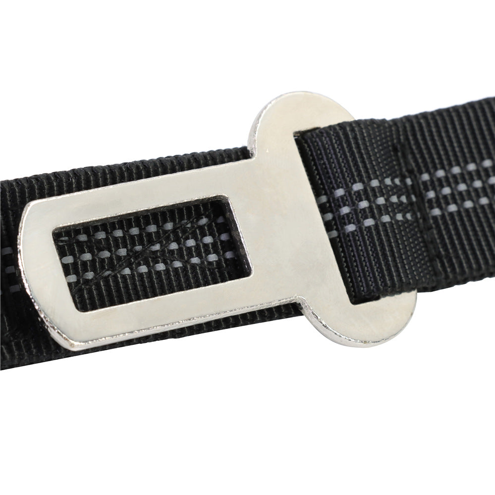 Black webbing belt with a silver buckle on a white background