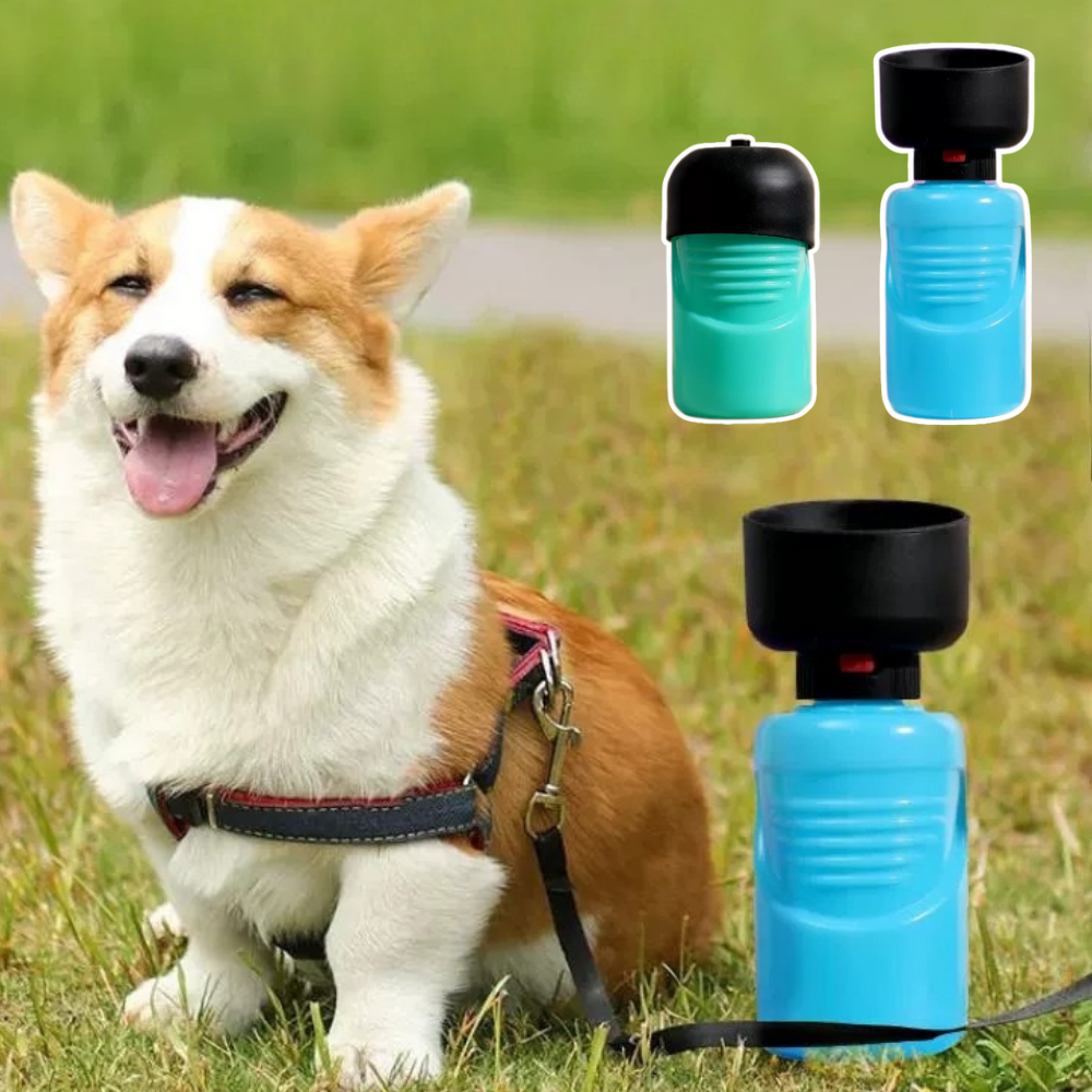 Portable water bottle