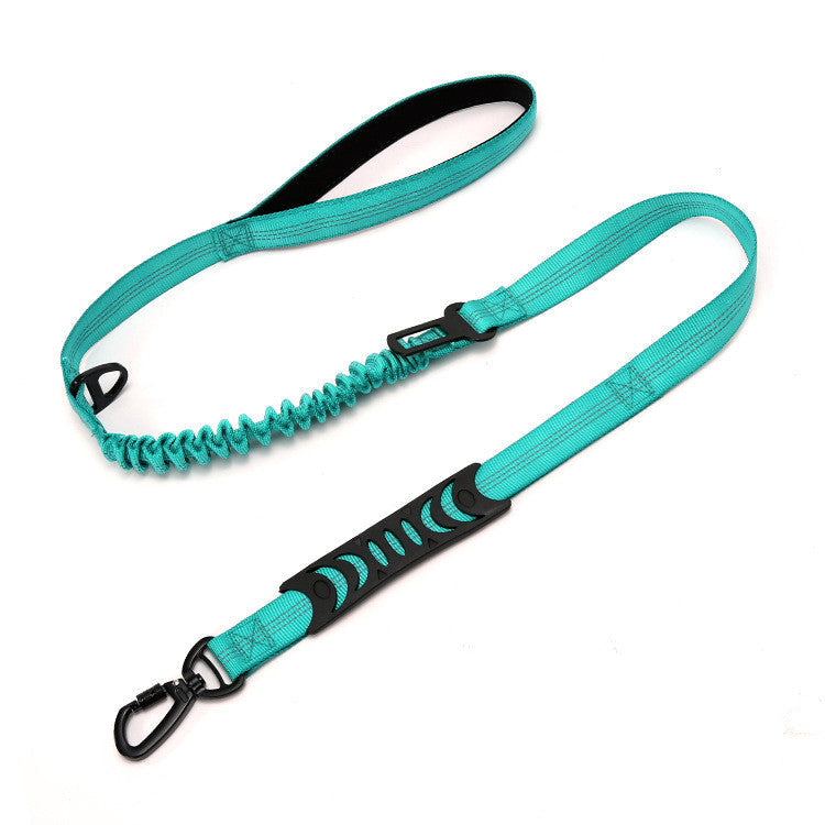 Turquoise dog leash with black accents on a white background