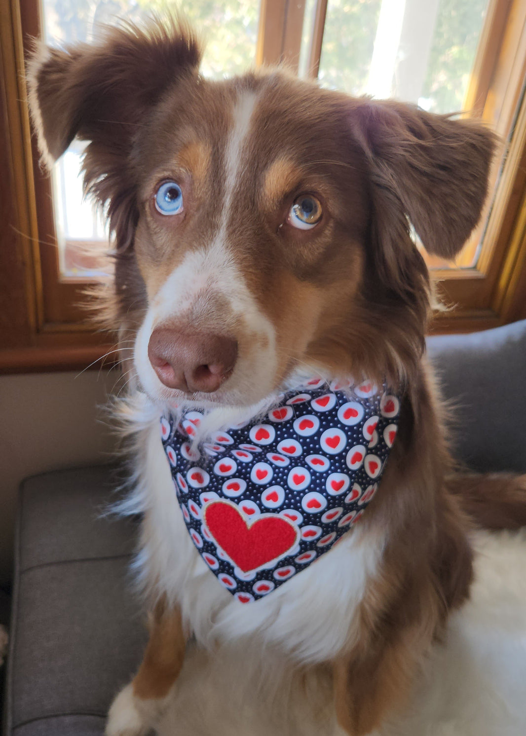 Only hearts bandana