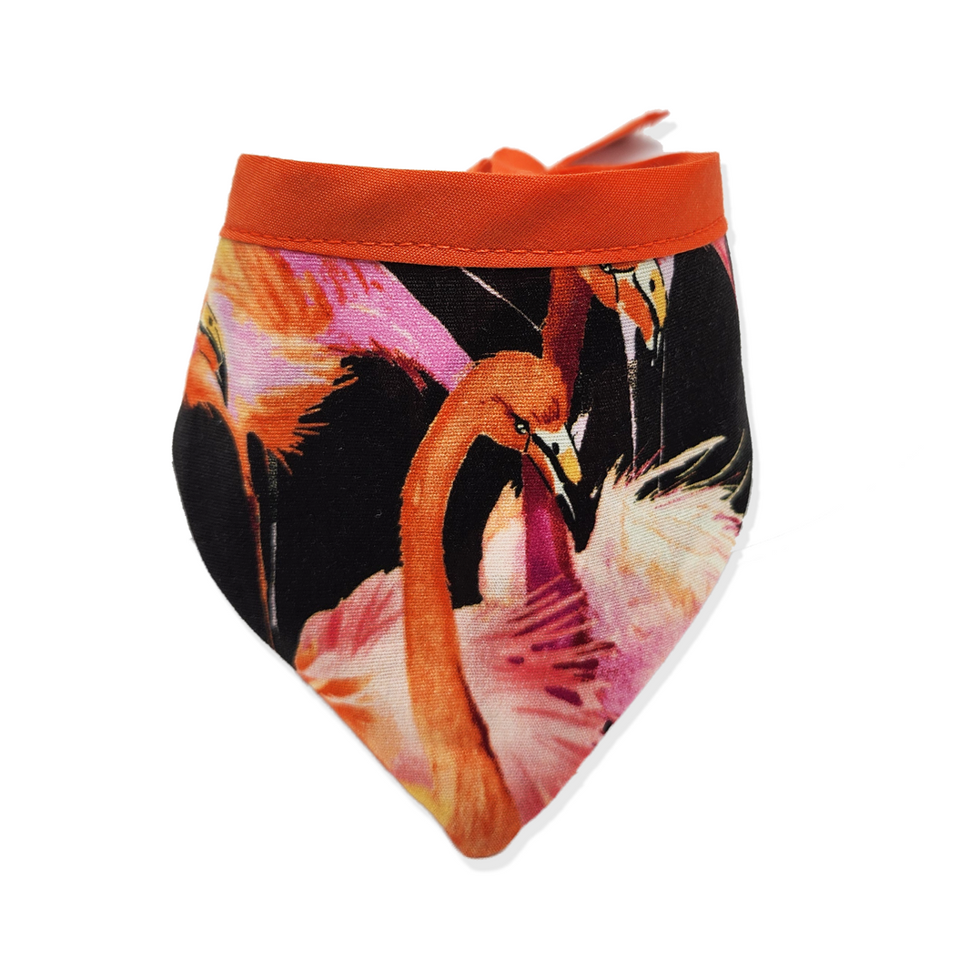black pink orange chihuahua bandana with flamingoes