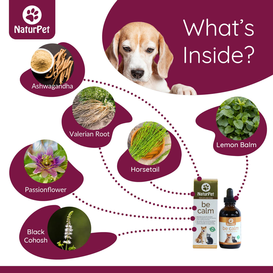 NaturPet product with ingredients and a dog, featuring 'What's Inside?' text.