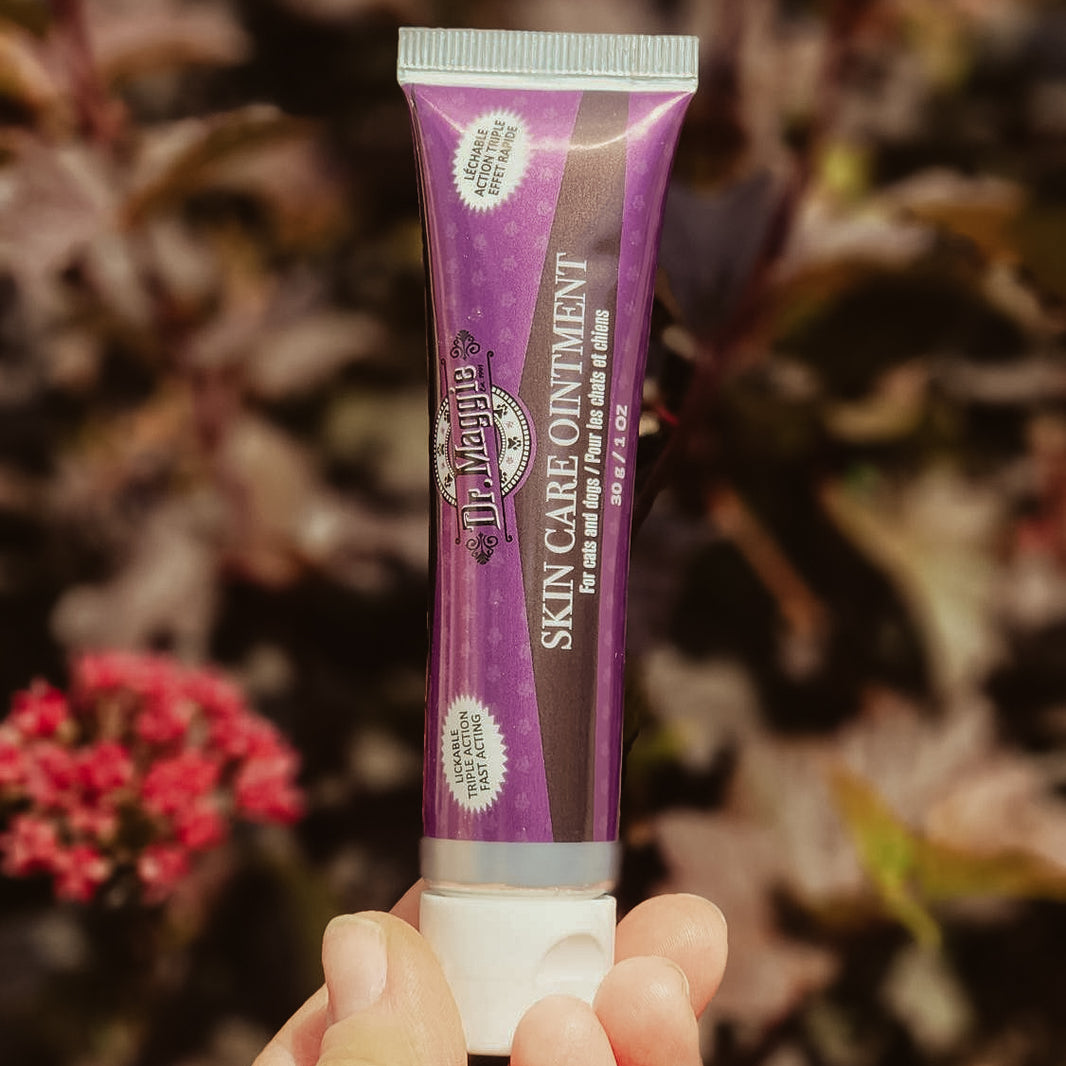 Purple tube of skin care ointment from Dr Magie held in a hand with a blurred natural background