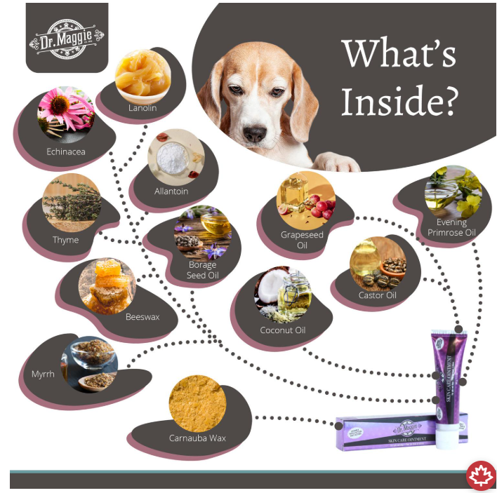 Diagram showing ingredients of a pet product with a dog's face and 'Dr. Maggie' branding.