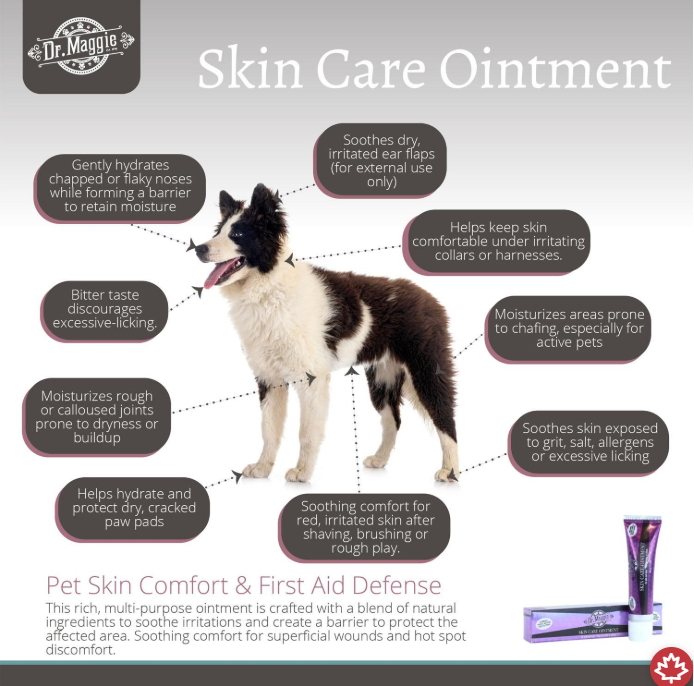 Advertisement for Dr. Maggie Skin Care Ointment with a dog illustration and product packaging.