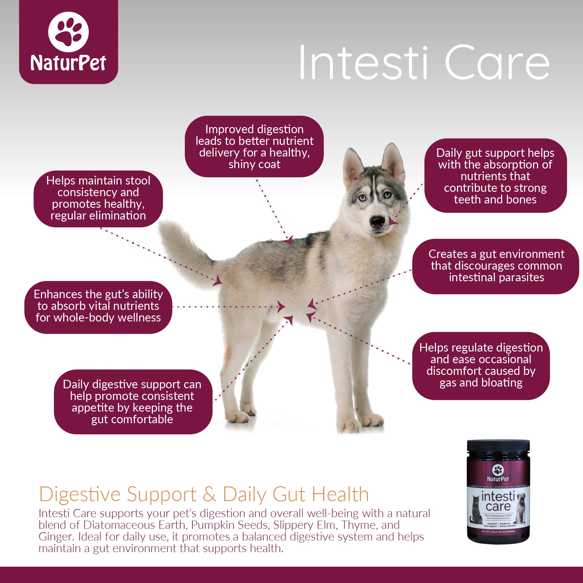 NaturPet Intesti Care product advertisement with a dog and listed benefits on a gray background.
