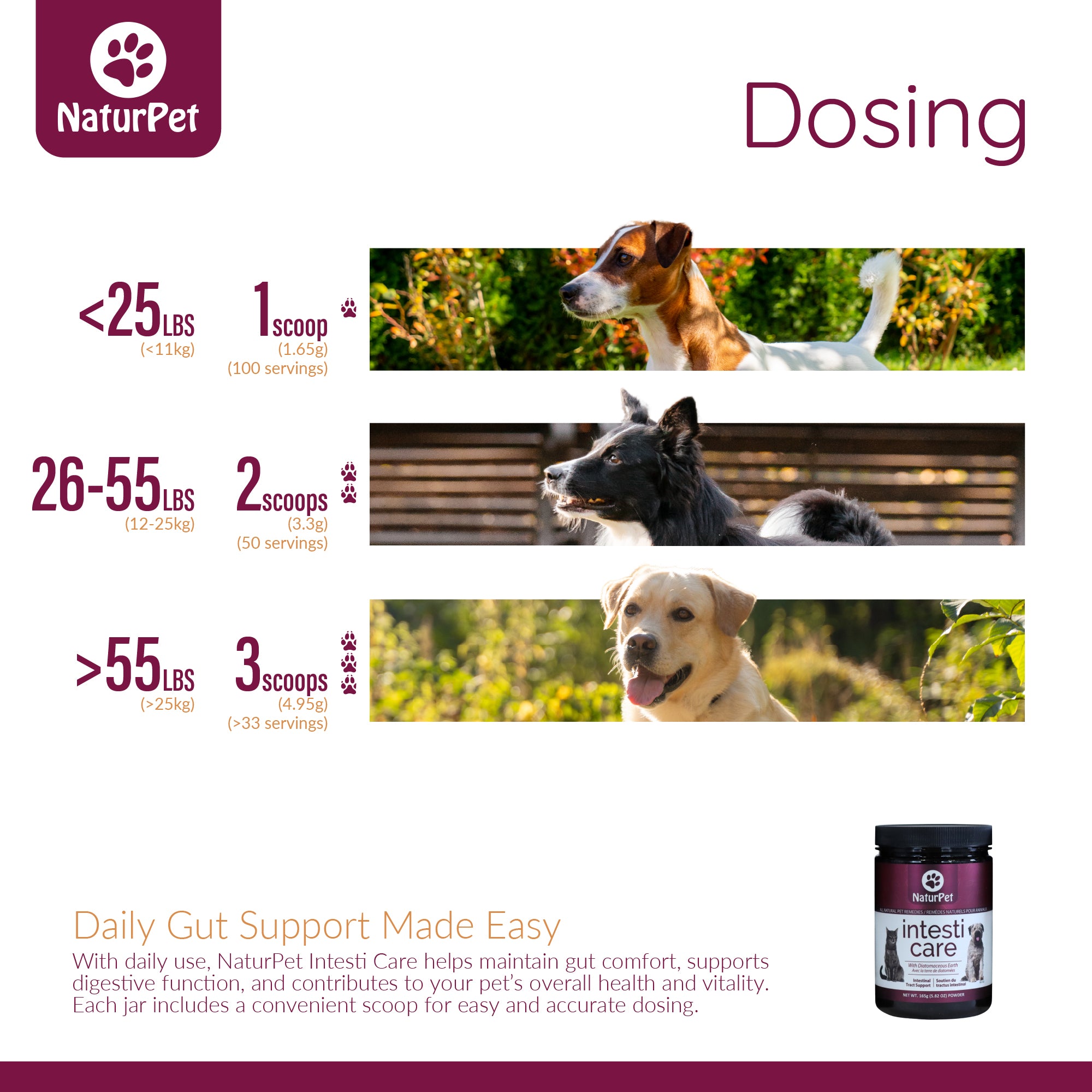NaturPet Intesti Care dosing chart for dogs with images and text.