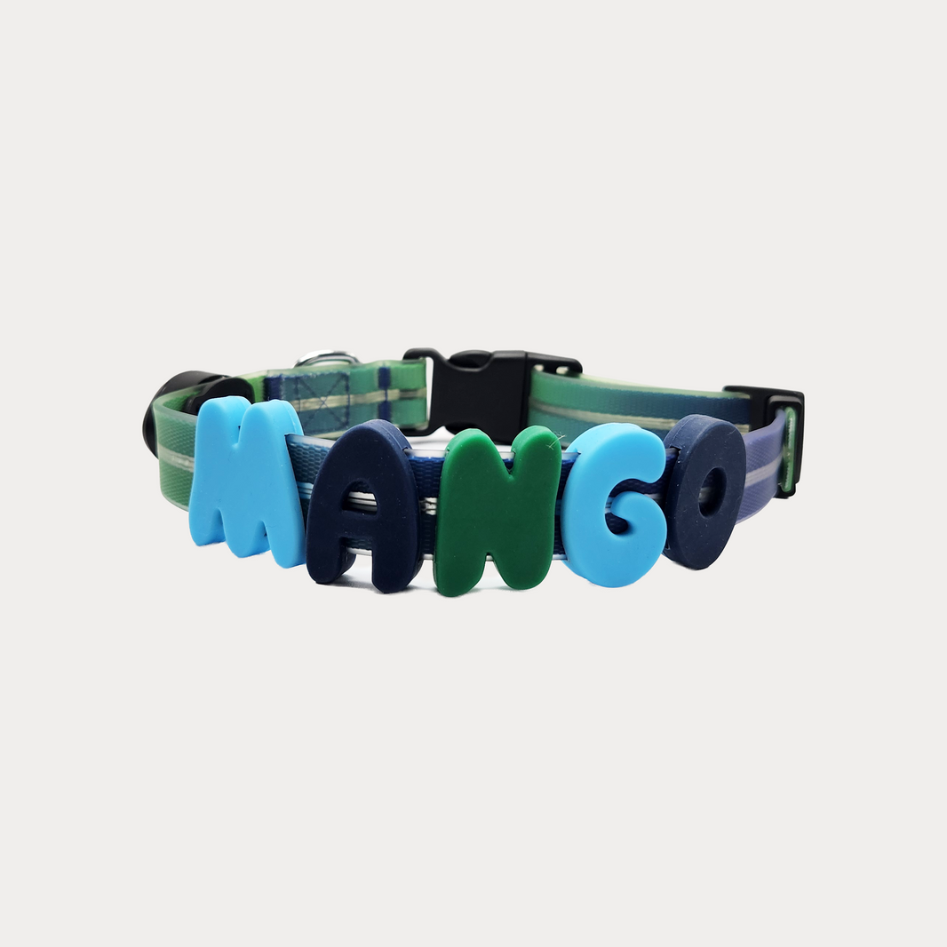 CUSTOM TPU AND SILICONE COLLAR
