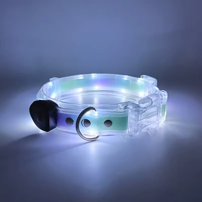 An illuminated LED dog collar with a clear plastic body, glowing with blue, green, and purple light, featuring a black adjustment buckle and a silver metal ring.