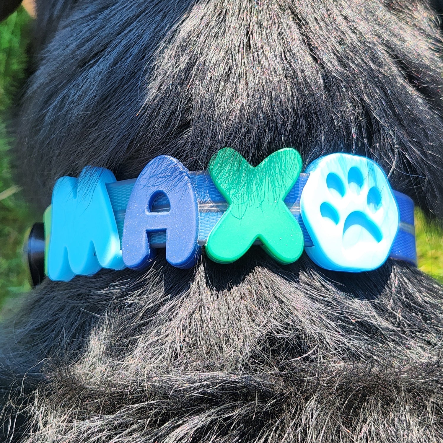 LED dog collar with silicon letters, with dogs name, shown on dog