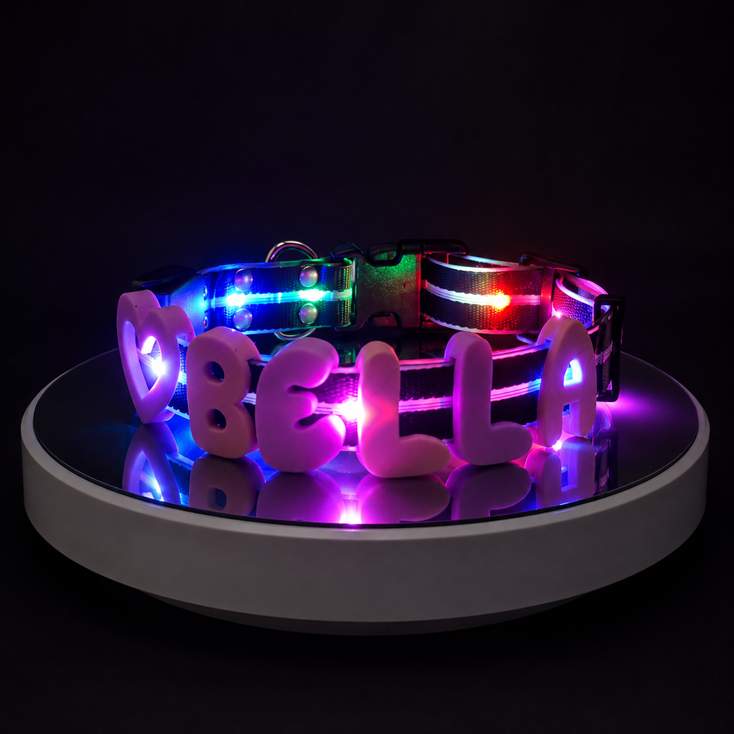 Collier LED personnalisé pour chien en Biothane 