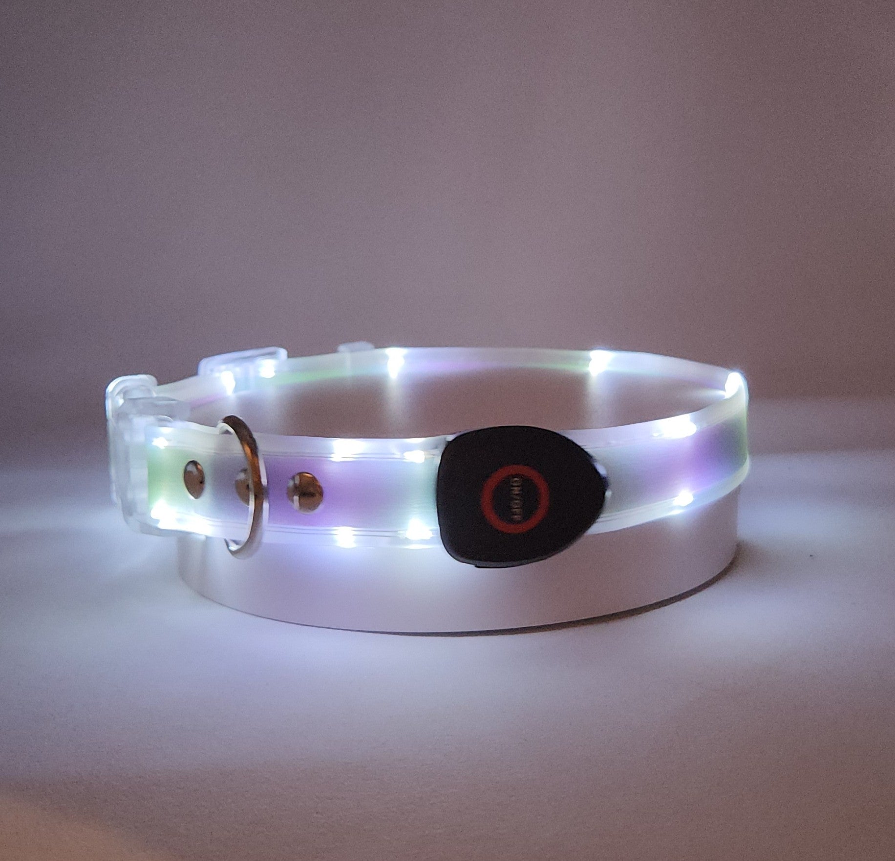 LED dog collar on a light gray background