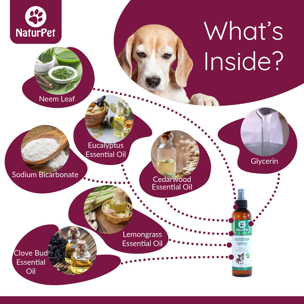 NaturPet product with ingredients displayed, including a dog's face and product bottle.