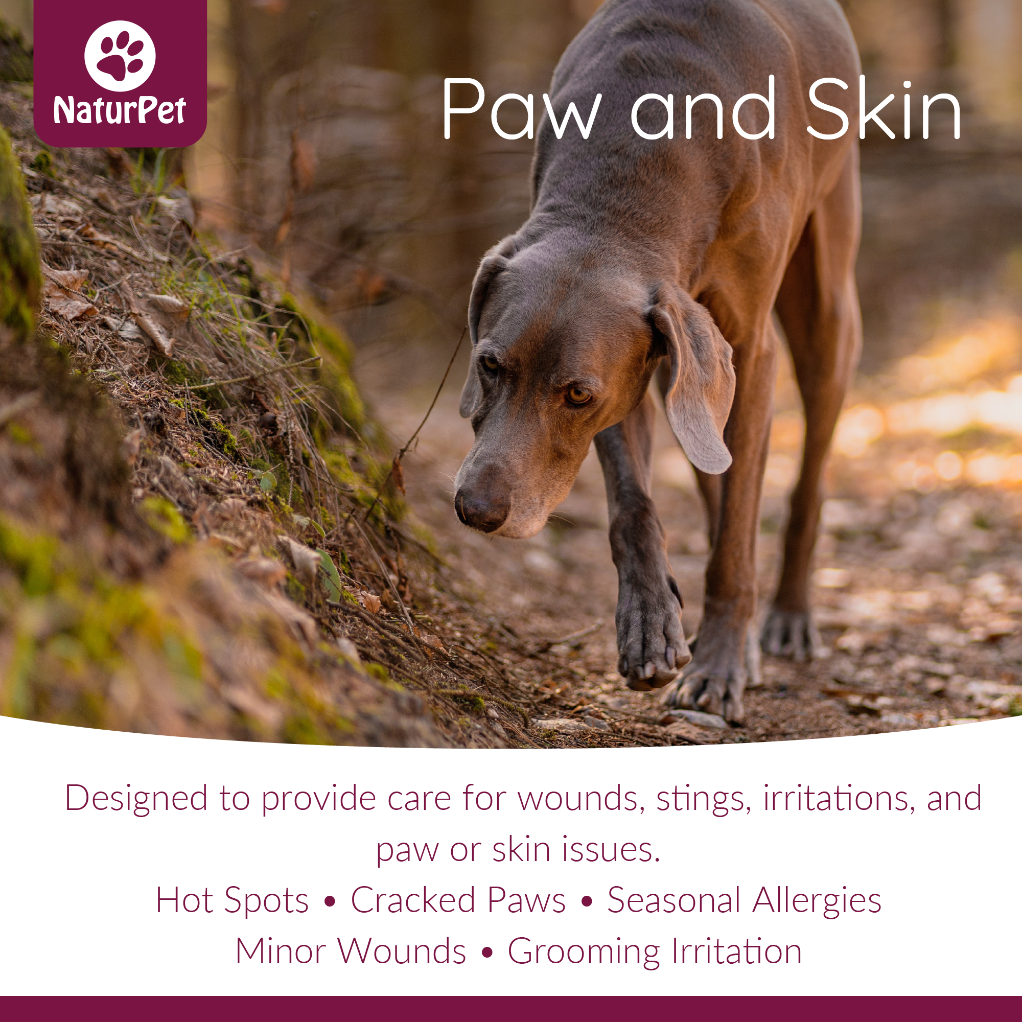 Dog walking on a trail with 'NaturPet' branding and product description text.