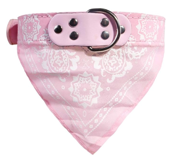 Pink bandana with a pattern and a matching pink collar on a white background