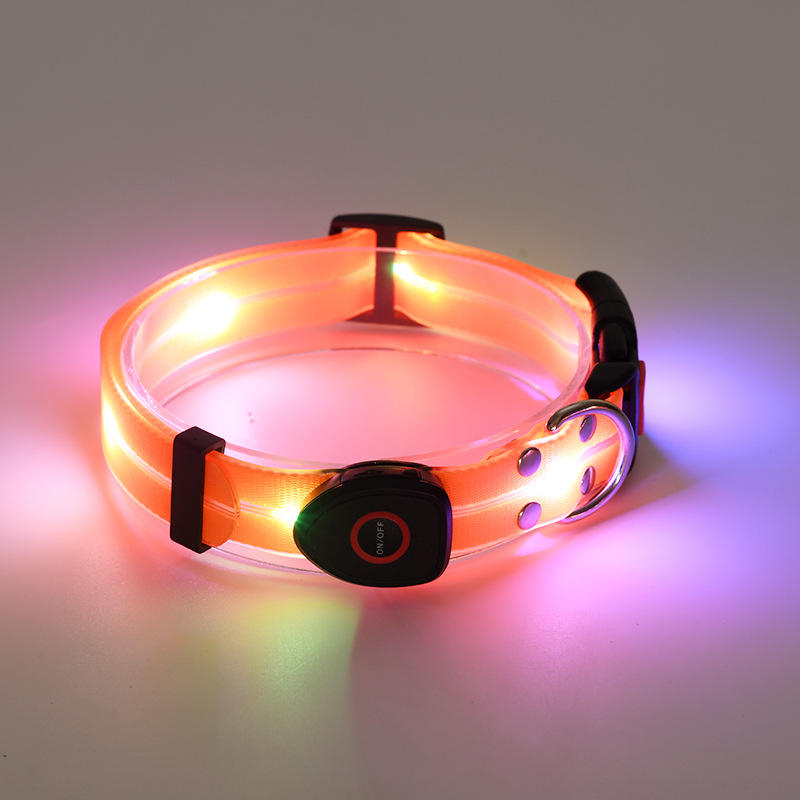 CUSTOM Dog Biothane LED orange collar