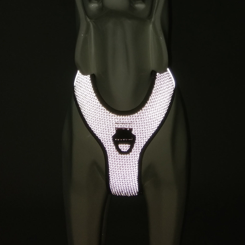 reflective dog harness shown with lights on