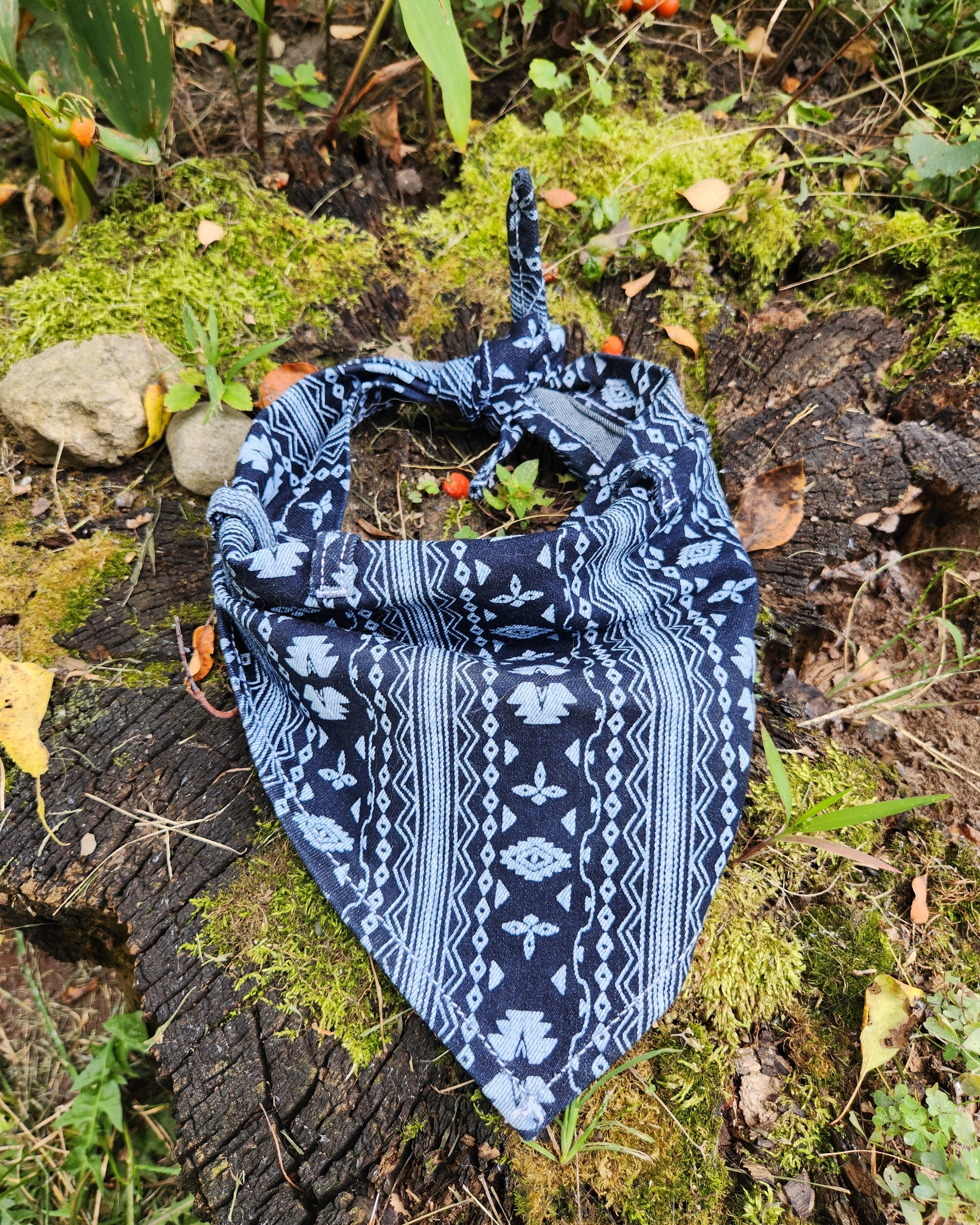 Blue patterned dog bandana on a wooden log with green moss and leaves.
