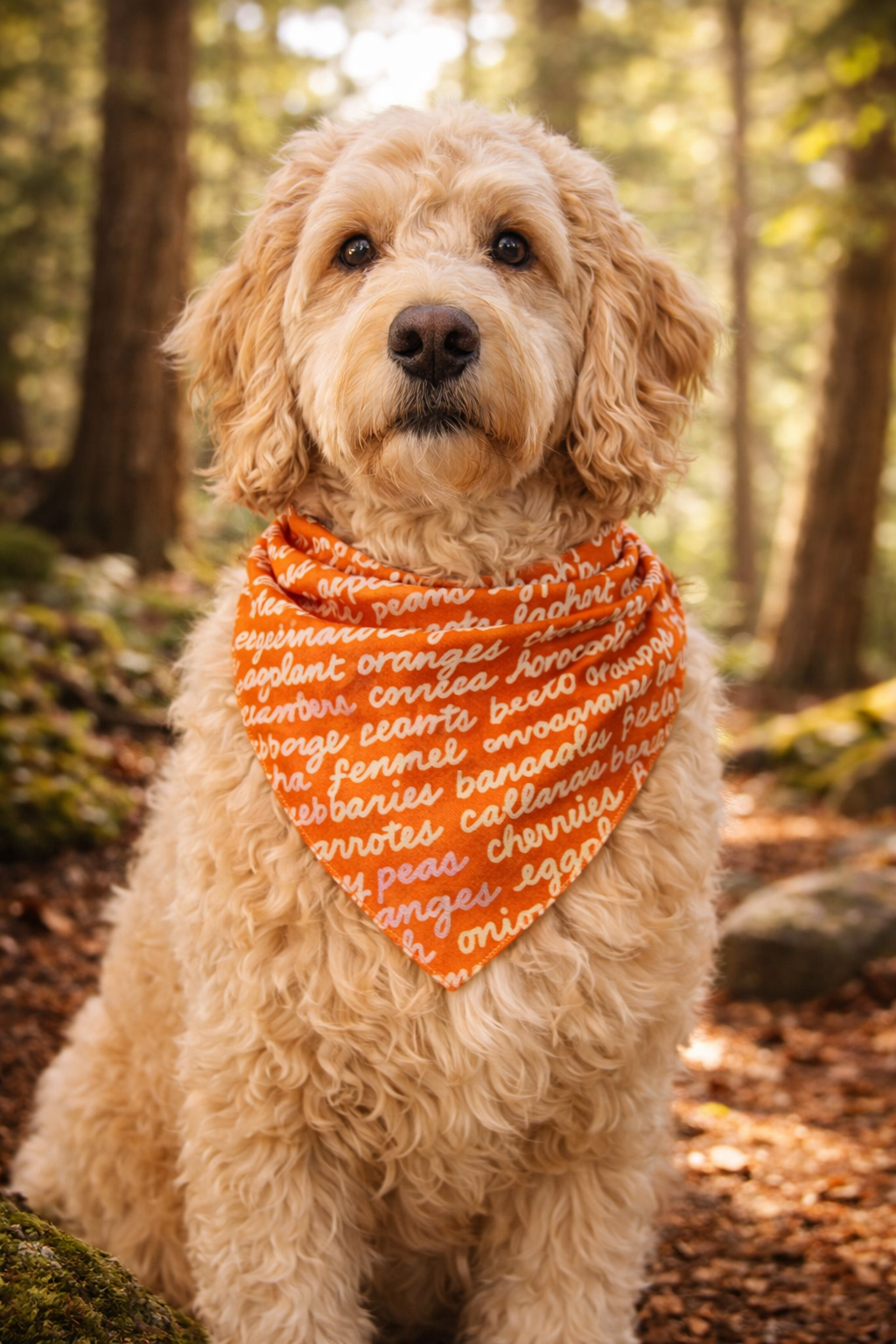 Dog wearing an orange bandana with text in a forest setting