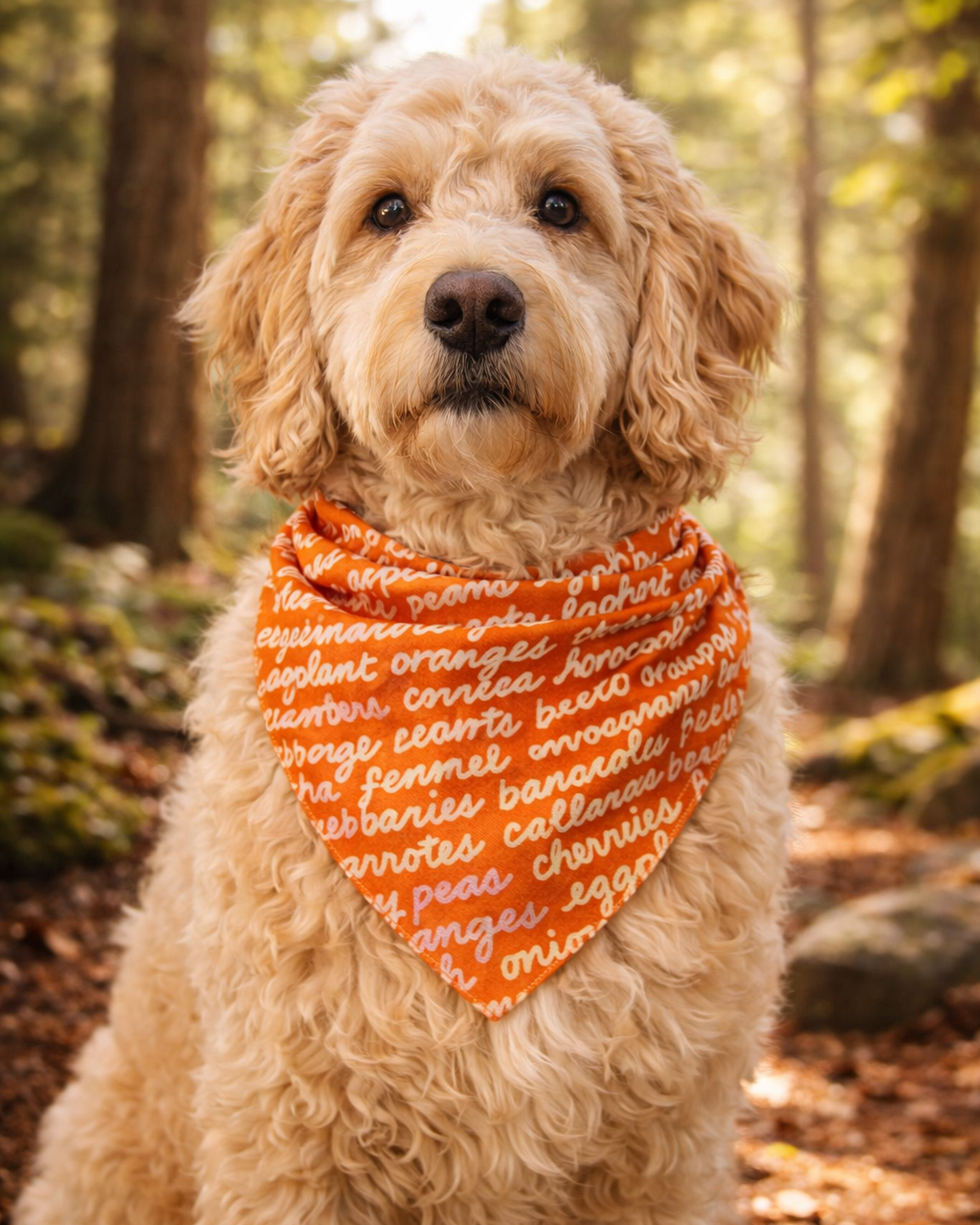 Dog wearing an orange bandana with text in a forest setting